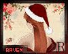 𝓡𓄿Mrs Santa Ginger
