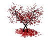 the red sakura tree