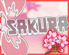 Sakura Headsign