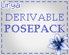 Derivable Posepack