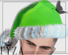 â¿ Santa Hat Green