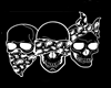 Caveira-amigos