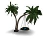 palmier balancelle 