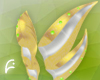 Lemon Shark Ears V2