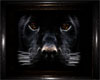 Panther frame