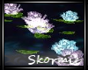 SK+Water flowers