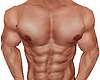 Shape Torso "KNG"