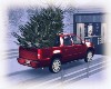 christmas tree truck