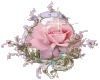 Glassed rose