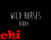 BIRDY - WILD HORSES