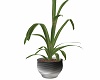 Steel Potted Cane 2
