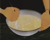 MAU/ ANIM DOUGH MIXER