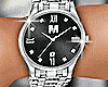 Deluxe Silver Watch