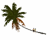 Palm Tree4