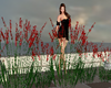Flower 4
