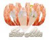 SL - Shrimp Cocktail