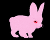 Pink Rabbit Animation