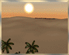 Romantic Desert Oasis