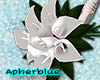[AB]White Bouquet
