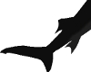 Black Shark Tail