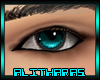 Male Blue Aqua Eyes