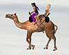 White Sands Camel