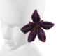 iva sunset flower V3