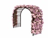 C* Roses arch