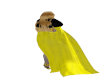 medieval bee cape