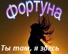 ty_tam