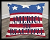 America Beautiful Pillow