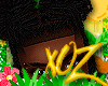 (S) xOz Kiara Dreads '25