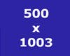 500x1003 Custom Frame