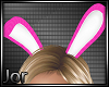 *JK* Your Bunny Ears