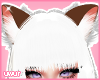 ♡ Kitty Ears