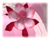Sakura Flower Bow