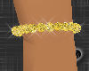 *Sexy Gold Anklet R