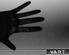 VT| Black Gloves