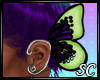 [S]Butterfly Queen Ear