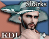 Shark Swim Bundle