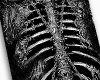 Skeletona