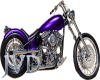 JVD Purple Bike-R