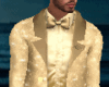 Golden Suit New Year