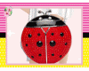 Kid/ Ladybug Lurse