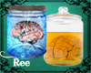 -ȵ- Jar of Brain Enhanc
