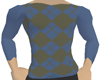 (Hmm)Blue plaid sweater