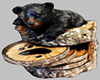 Bear Table Coasters 3D