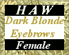 Dark Blond Eyebrows - F