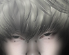 T. rednote v1