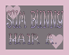Sum Bunny Hair A